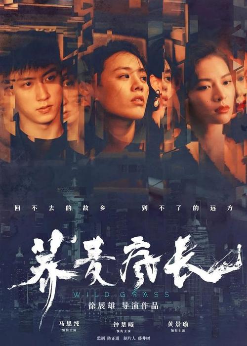 一比一仿南卡罗来纳州立大学学位证